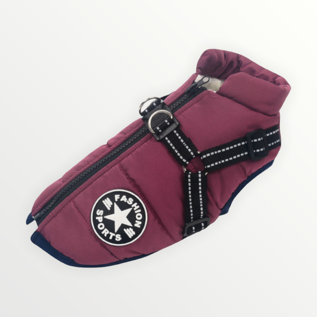 BlizzardGuard™ — Wrap Your Dog in Stormproof Warmth and Total Leash Control