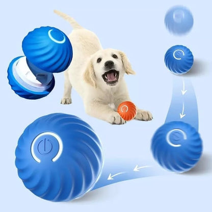 ChaseSpark™ — Ignite Your Dog’s Wild Instincts for Endless Joyful Play