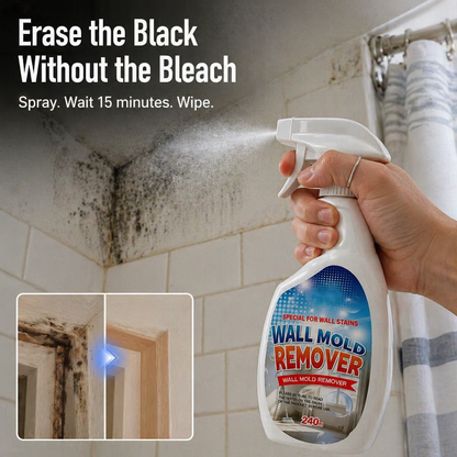 MiraGuard™ — Erase Stubborn Wall Mold and Block It From Coming Back