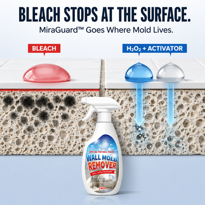 MiraGuard™ — Erase Stubborn Wall Mold and Block It From Coming Back