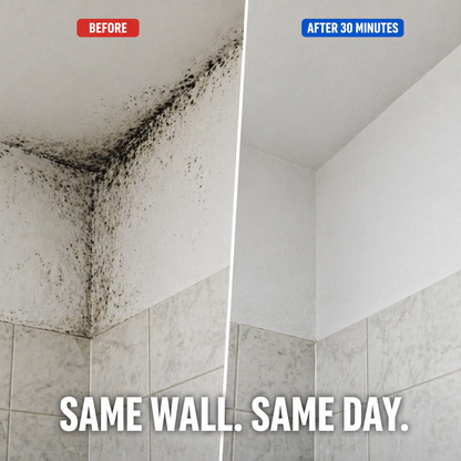 MiraGuard™ — Erase Stubborn Wall Mold and Block It From Coming Back