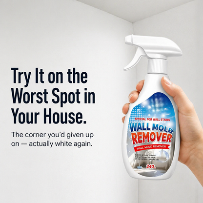 MiraGuard™ — Erase Stubborn Wall Mold and Block It From Coming Back
